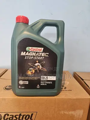 Genuine Magmatic Castro Engine Oil Ow 20