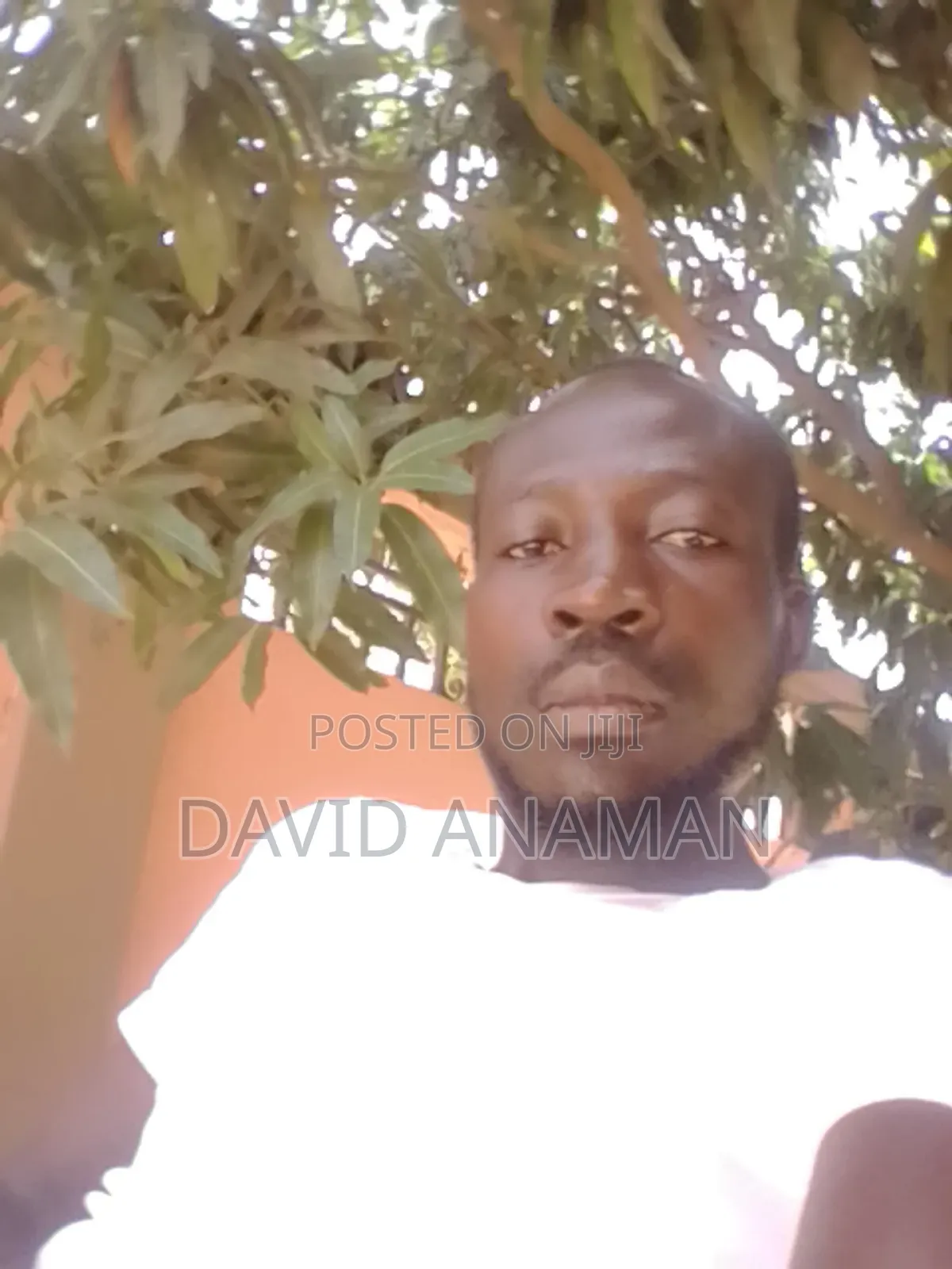 Personal Driver Bolt Yango and Uber Driver Hiring