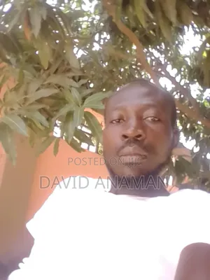 Personal Driver Bolt Yango and Uber Driver Hiring