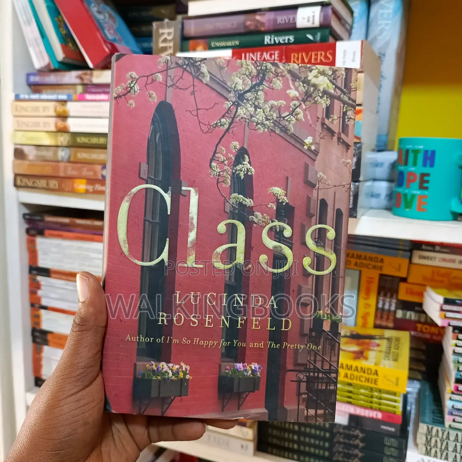 A Novel;Class