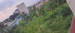 Land for Sale- West Legon