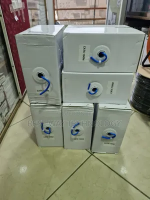 Cat 100m Network Cable