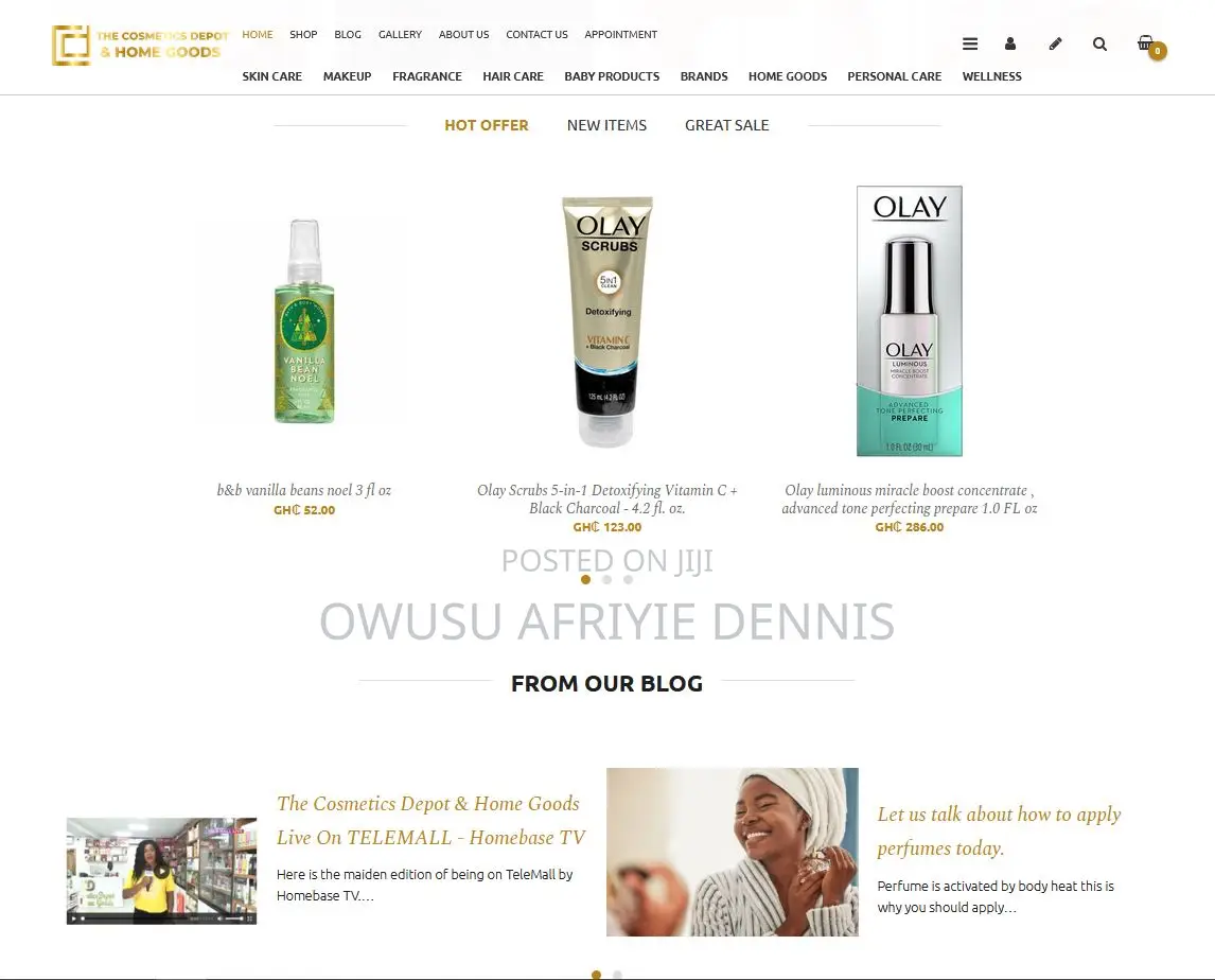 Modern Website Design Development