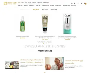 Modern Website Design Development
