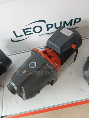 Leo 2hp Water Pump