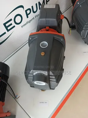 Leo 1.5hp Water Pump (Ajm90)