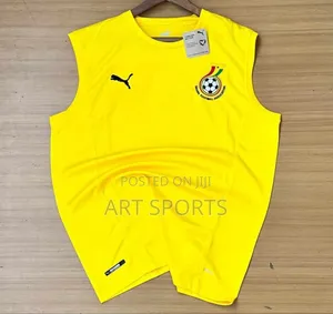 Ghana Blackstar Puma Training Kit