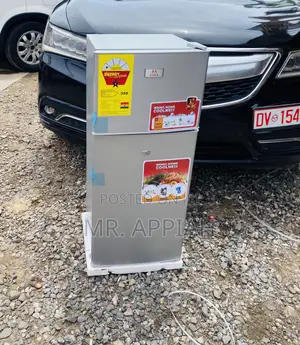 Purchase Authentic Zara 2 Door Electric Fridge(Gray).