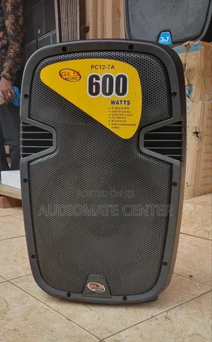 G.L.S. 12 Speaker