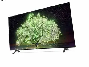 Well Design LG OLED55A1PVA 55” Oled Smart Television.