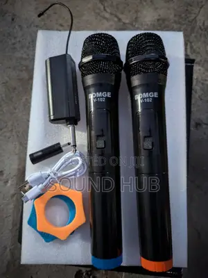 Bomge 2 Channel Microphone