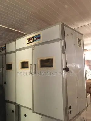 Incubator for Poultry