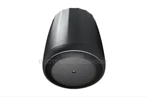 Control 65 P/T Compact Full-Range Pendant Speaker