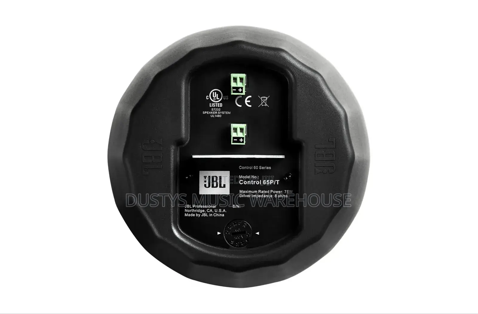 Control 65 P/T Compact Full-Range Pendant Speaker