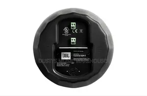 Control 65 P/T Compact Full-Range Pendant Speaker