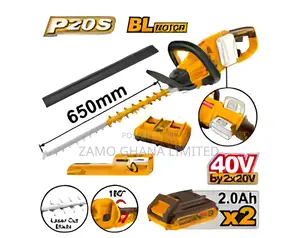 Lithium-Ion Hedge Trimmer 40v With 2 Batteries - Chtli400282