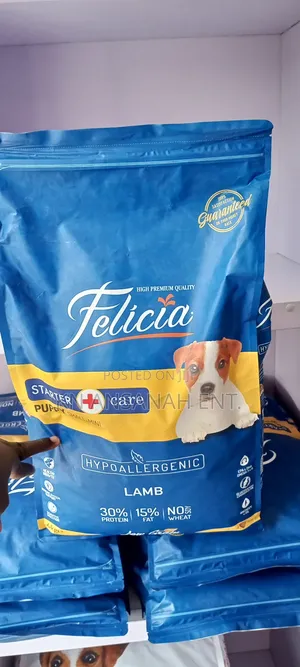 Felicia Hypoallergenic