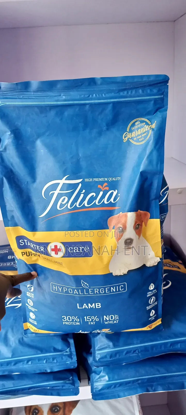 Felicia Hypoallergenic