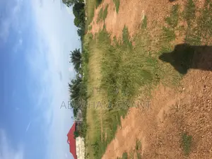 Land for Sale at Ejisu Adad3ntem