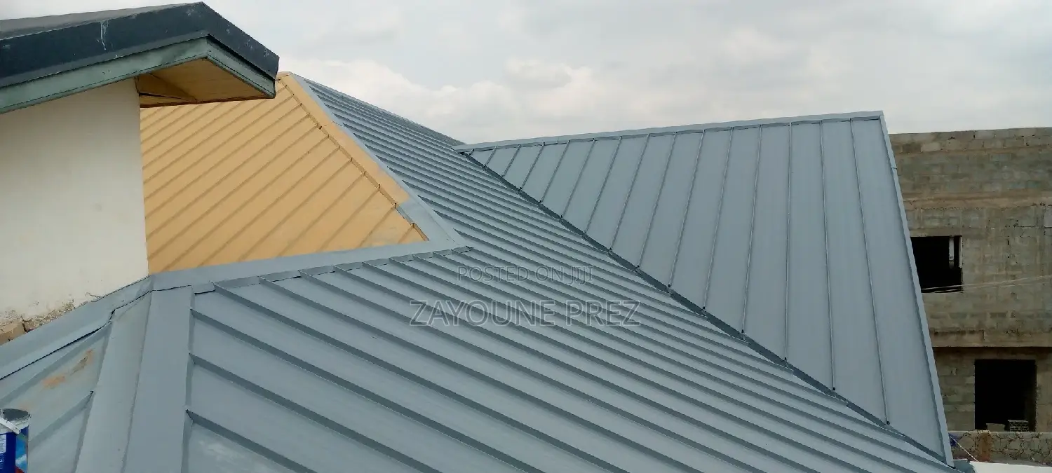 Roof Painting / Spraying