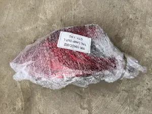 Honda Accord Taillight 2018 2019 2020 2021 2022