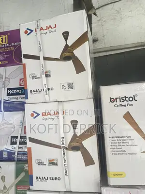 Bajaj Euro - Long Blade Fan