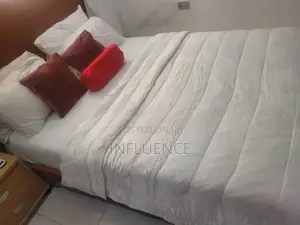 Furnished 1bdrm Apartment in East Legon for rent