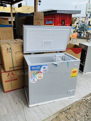 High Quality Nasco Nas210 Single Door Chest Freezer(200L).