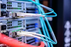Reliable Yearly Cpanel Hosting - Basic Package