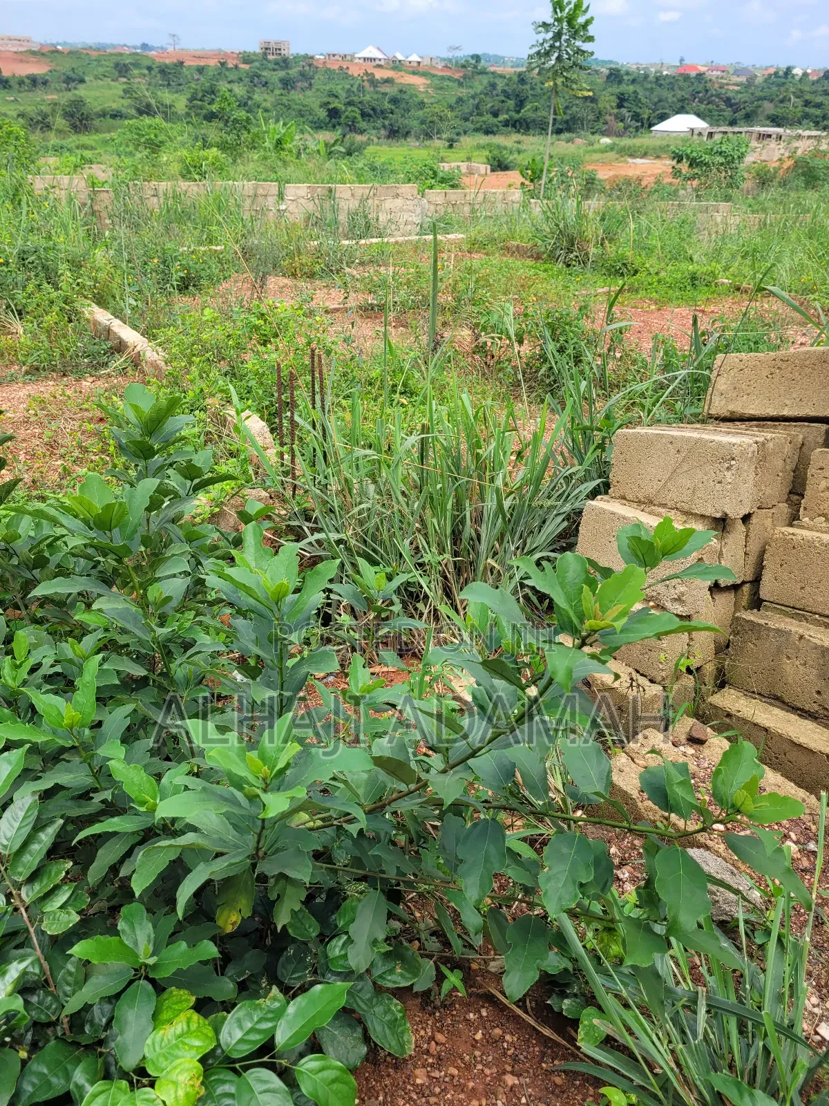 Land for Sale at Brofoyedro Ampemanim