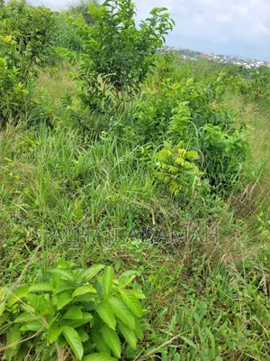 Land for Sale at Brofoyedro Ampemanim