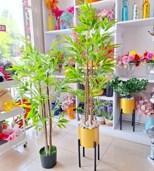 Bamboo Plant and Metallic and Gold Planter