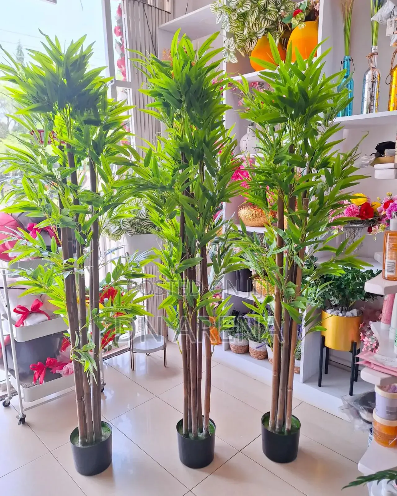 Bamboo Plant and Metallic and Gold Planter