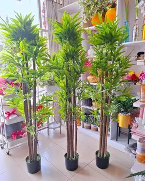 Bamboo Plant and Metallic and Gold Planter