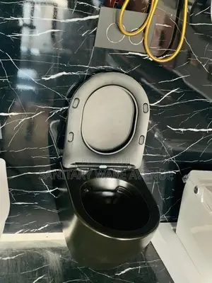 Concealed Water Closet - Wall Hung Toilet - Black WC