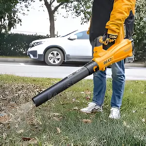 Cordless Air Blower 20v - Cabli20428