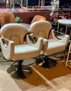 Modern Saloon Chair