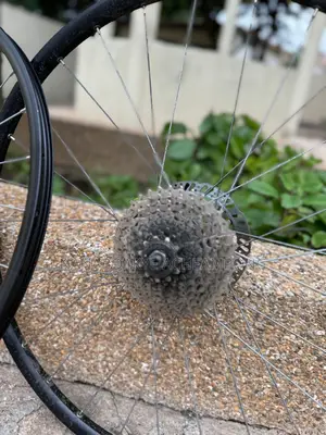 Uk Used Bike Tires and Rim