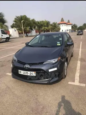 Executive Car Rentals Services