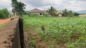 Two Plots of Land for Sale Located at Oyarifa Kuotaam Estate