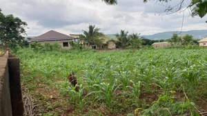 Two Plots of Land for Sale Located at Oyarifa Kuotaam Estate