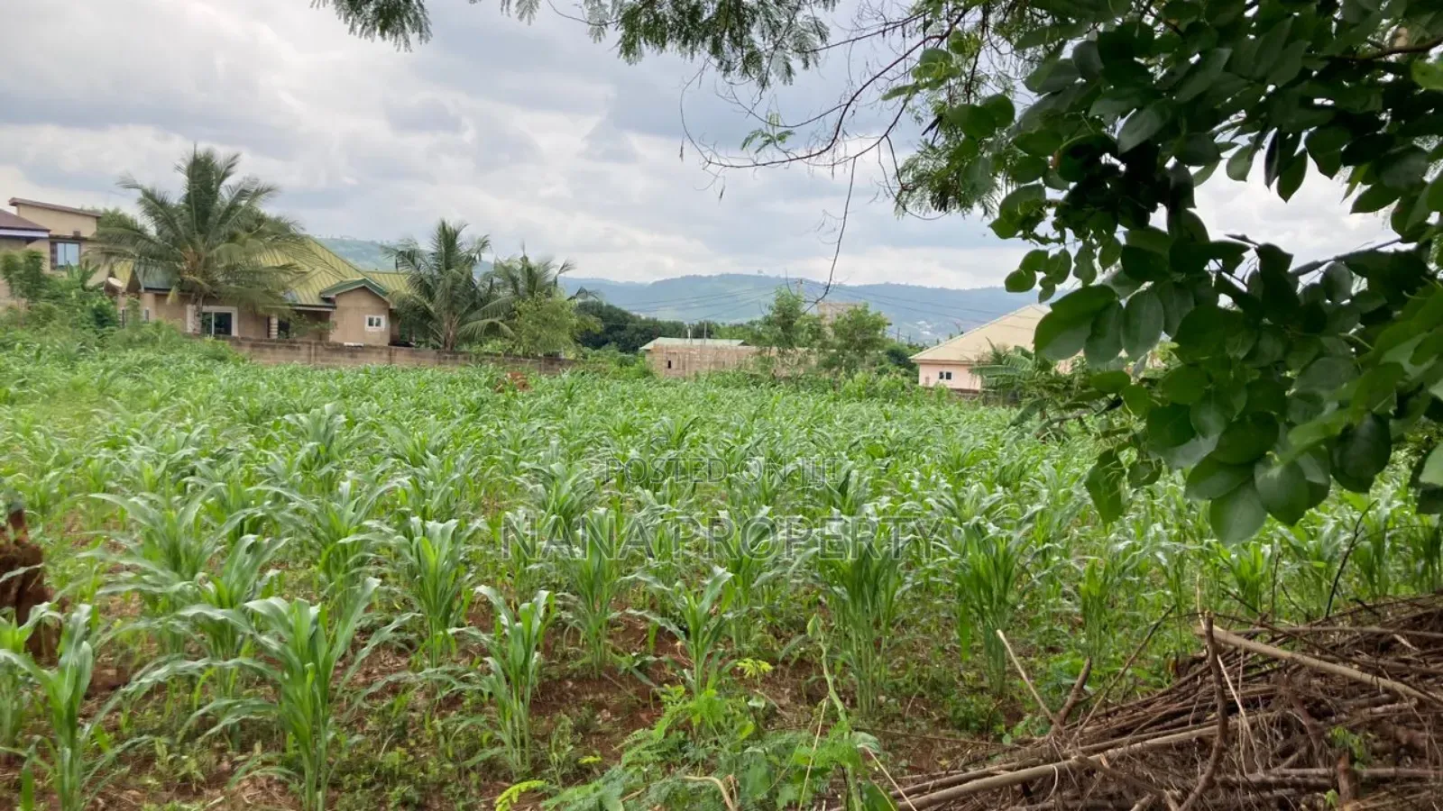 Two Plots of Land for Sale Located at Oyarifa Kuotaam Estate