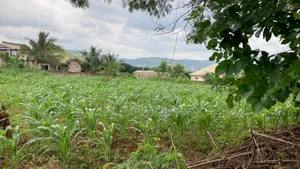 Two Plots of Land for Sale Located at Oyarifa Kuotaam Estate