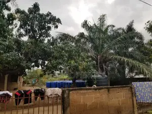 East Legon American House