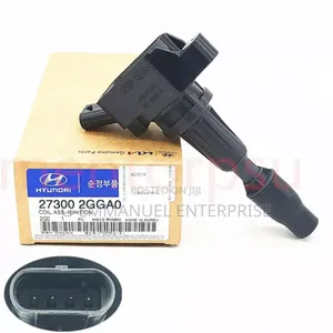 Hyundai Elantra Sport 2.0 Litters 2016-20 Ignition Coil.