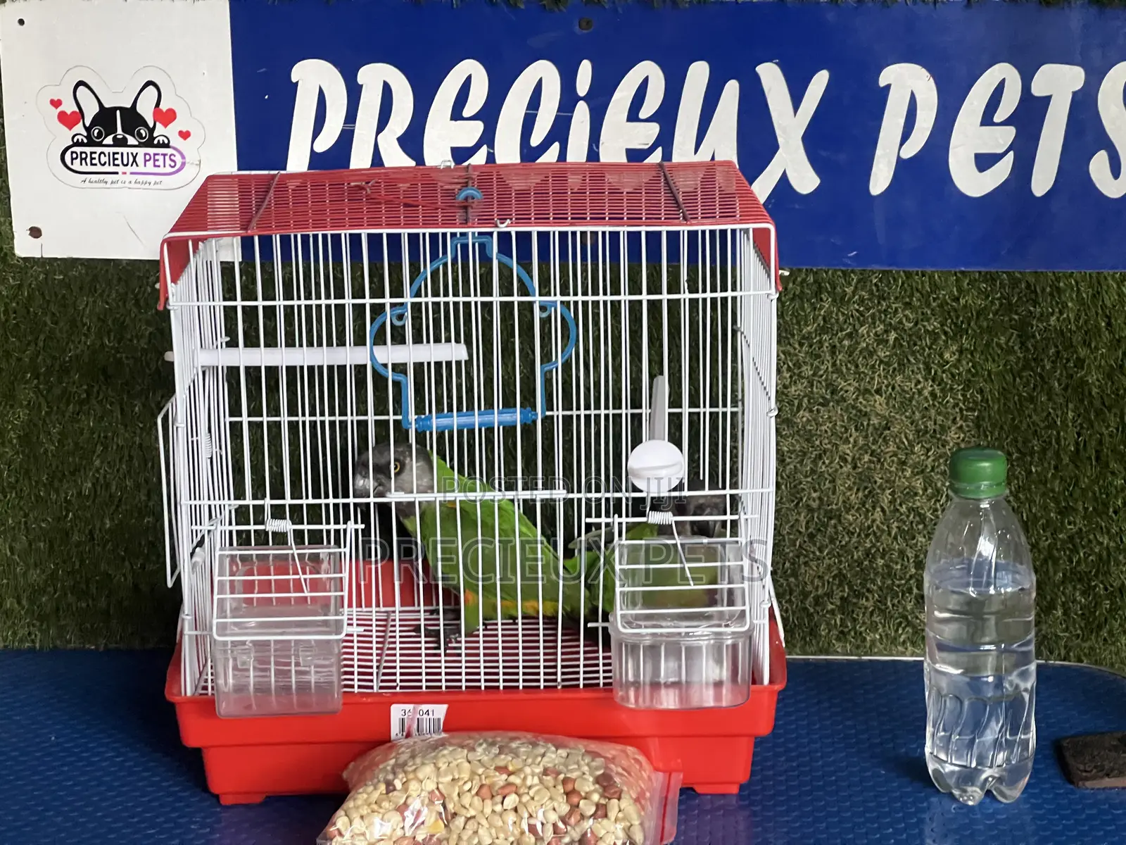 Bonus Sales on Friendly Talking Birds