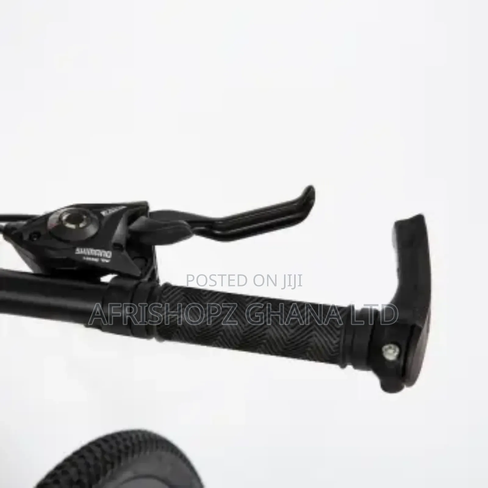 Mountain Bicycle