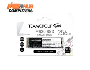 M.2 256GB Solid State Drive (SSD)