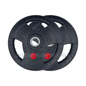 Olympic Plate 20kg Pair