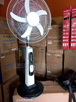 Rechargeable Standing Fan With Remote